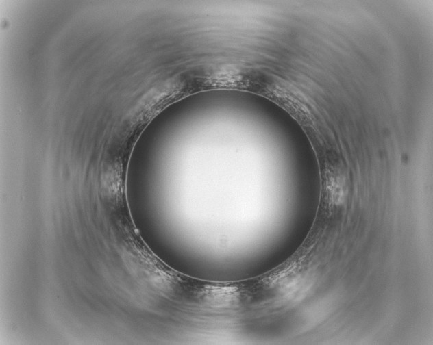 X0000087040665200704250940