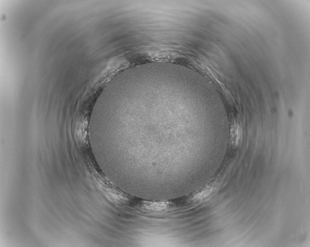 X0000087040671200704250940