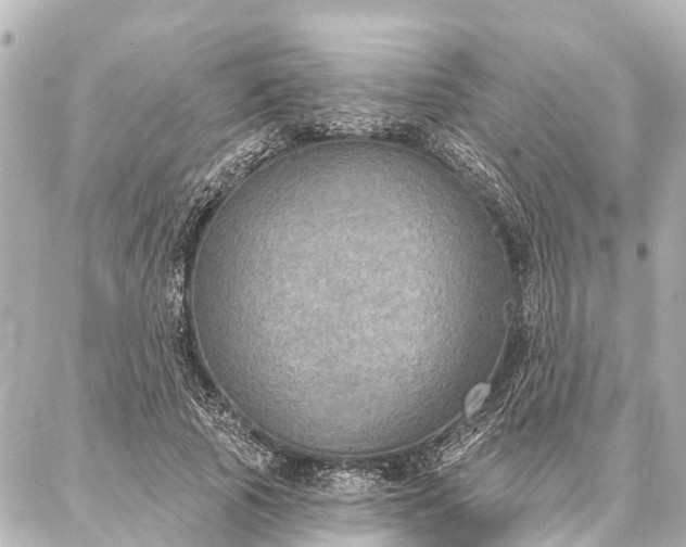 X0000087040737200704250938