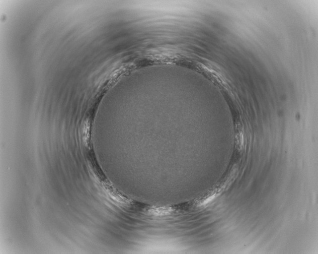 X0000087040767200704250939