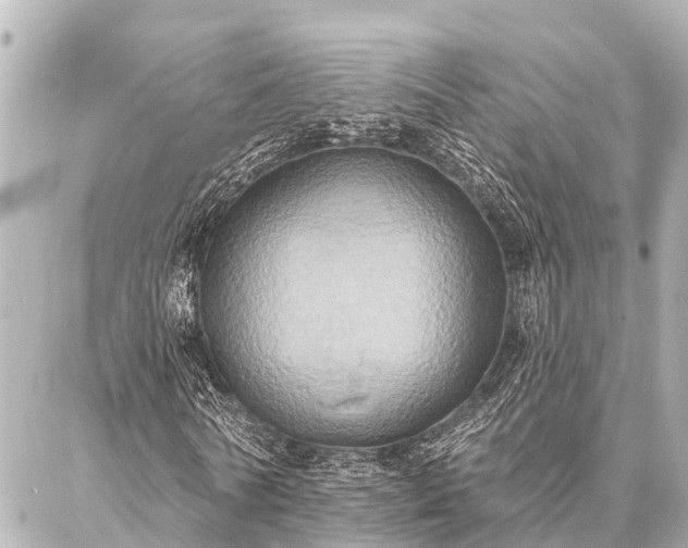 X0000087040770200704250938