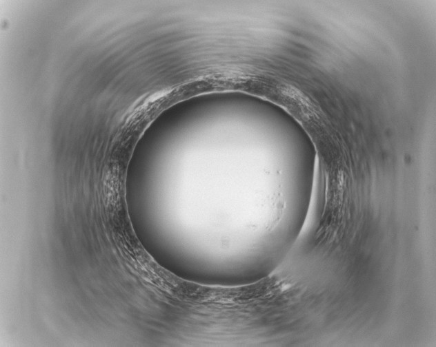X0000087040773200704250938