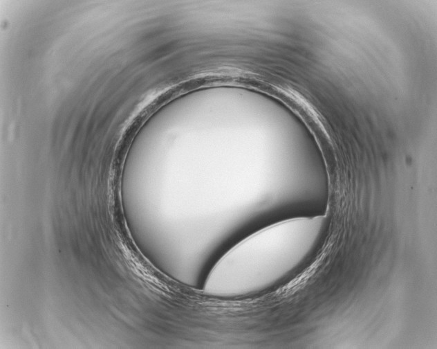 X0000087040783200704250938