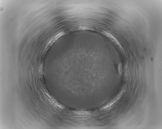 X0000087040785200704250938