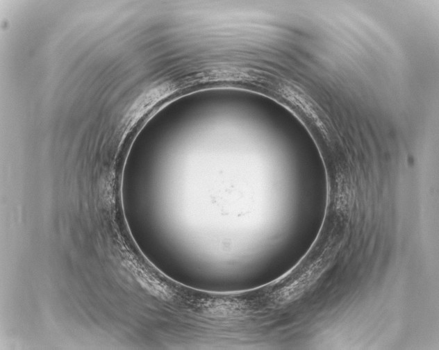 X0000087040786200704250938
