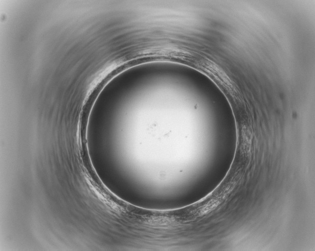 X0000087040788200704250938
