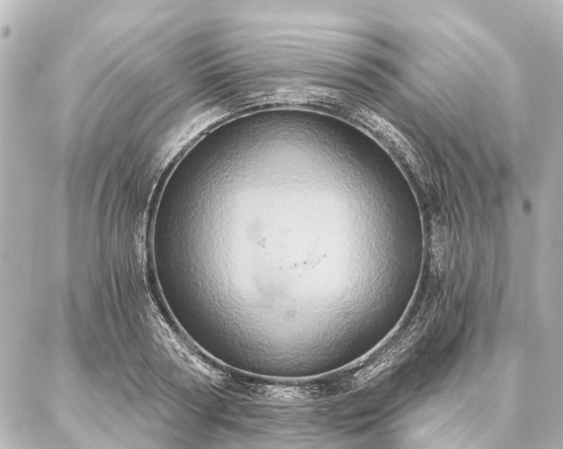 X0000087040794200704250938