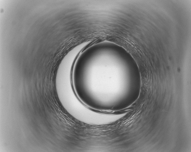 X0000087040818200704250936