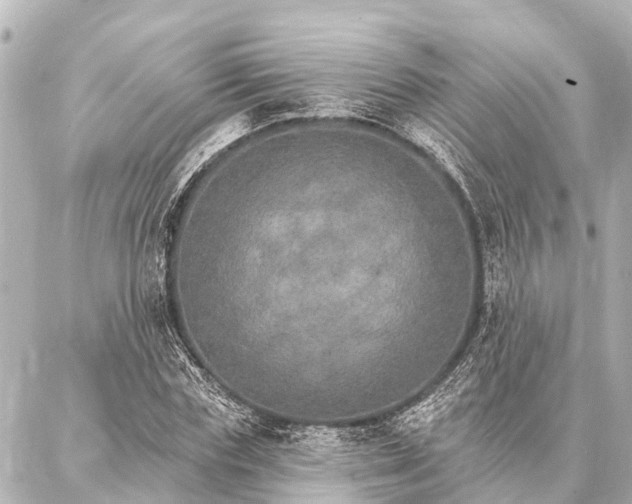 X0000087040827200704250937