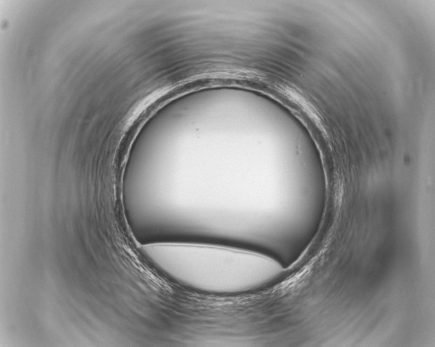 X0000087040829200704250937