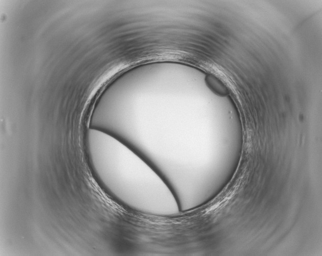 X0000087040835200704250937