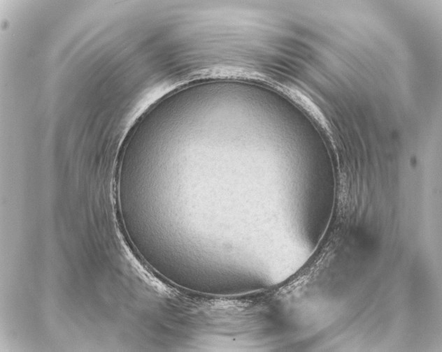 X0000087040847200704250937