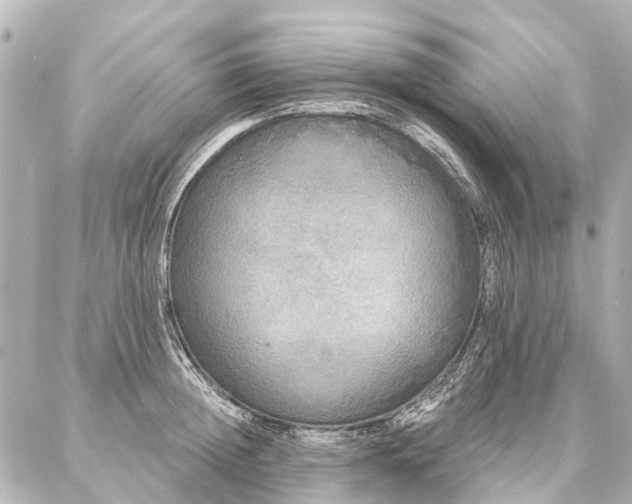 X0000087040852200704250937