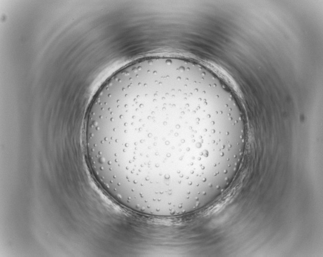 X0000087040855200704250937