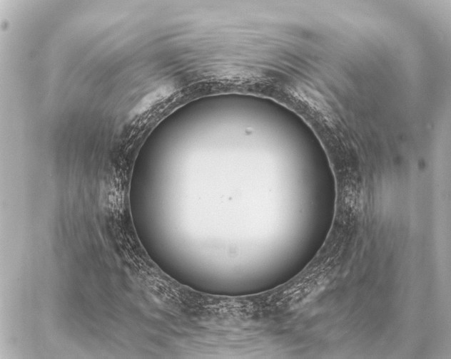 X0000087040869200704250936