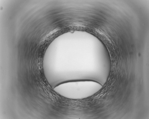 X0000087040870200704250936