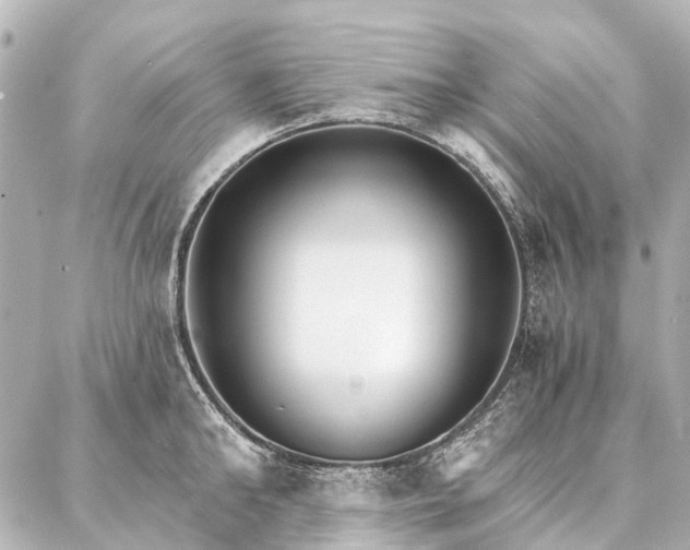 X0000087040902200704250936