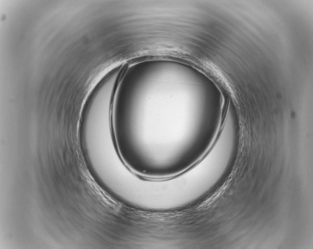 X0000087040932200704250935