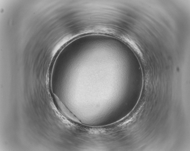 X0000087040944200704250935