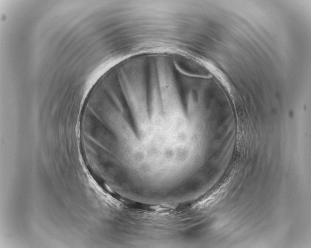 X0000087040951200704250935