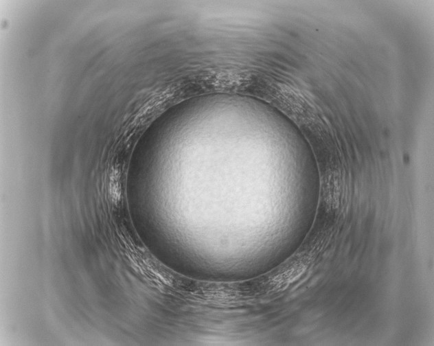 X0000087040962200704250935