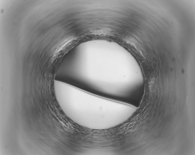 X0000087040968200704250935