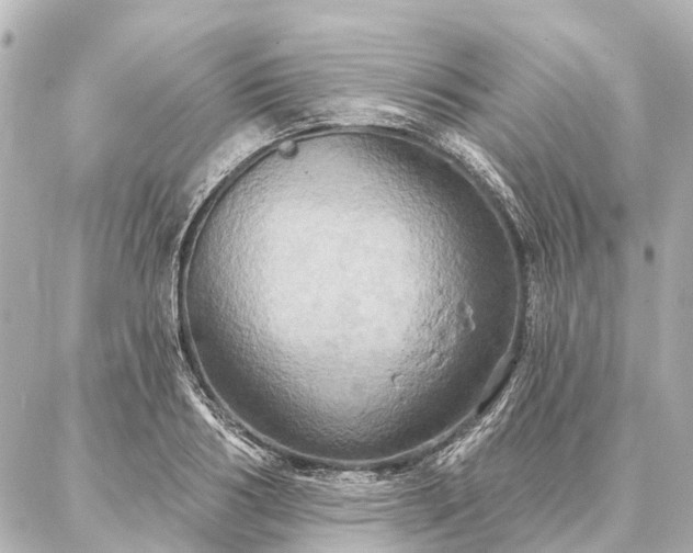 X0000087040986200704250934