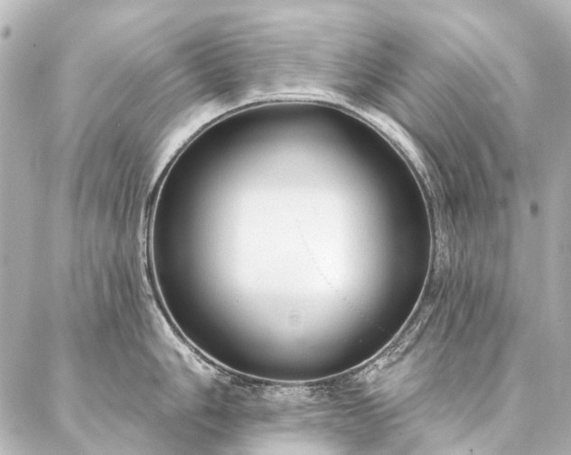 X0000087041006200704250934