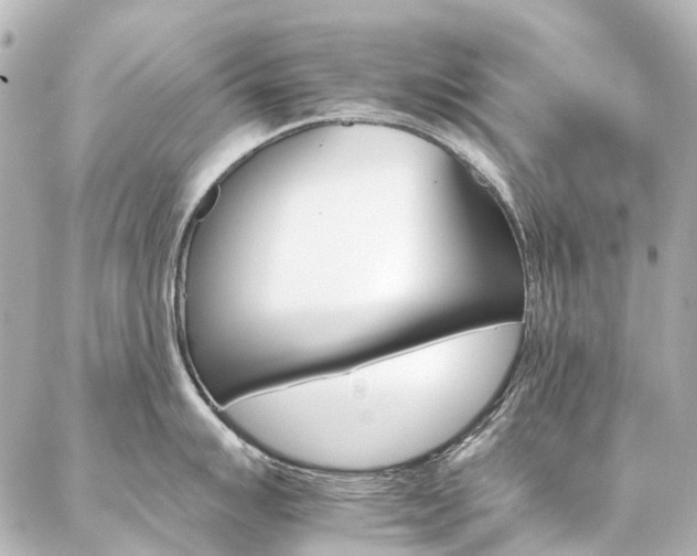 X0000087041007200704250934