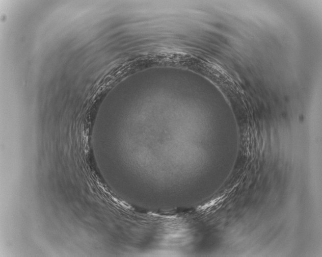X0000087041013200704250933
