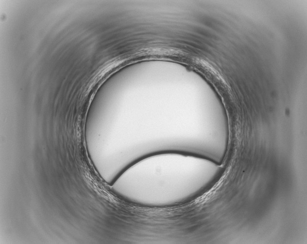 X0000087041025200704250933