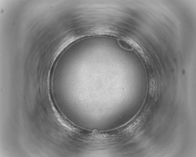 X0000087041039200704250934