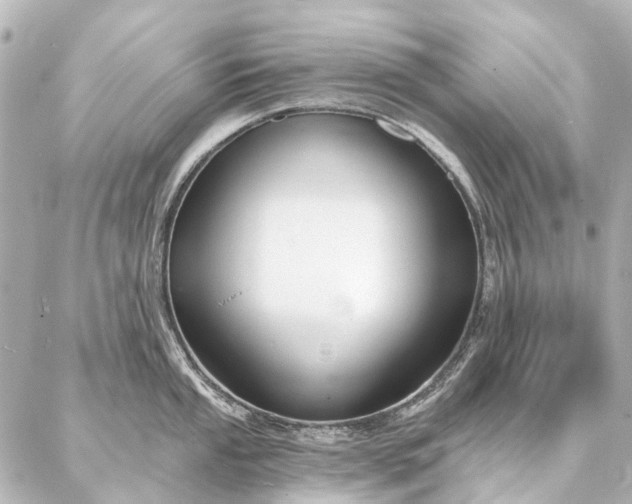 X0000087041053200704250934
