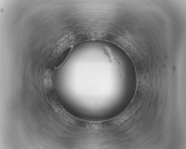 X0000087041058200704250933