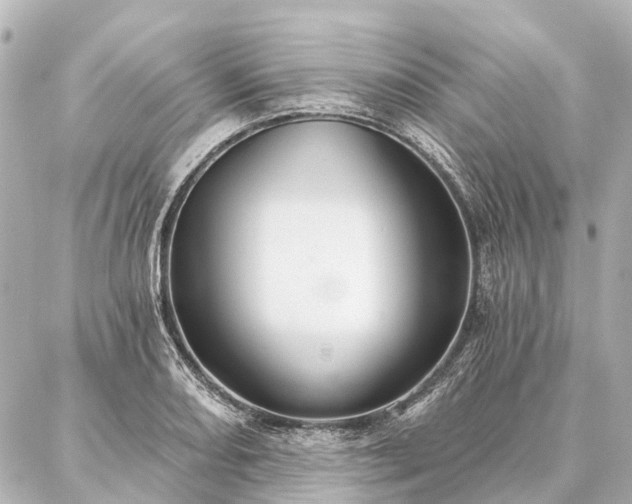 X0000087041082200704250933