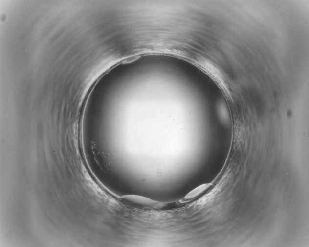 X0000087041100200704250933