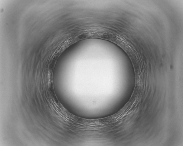 X0000087041108200704250932
