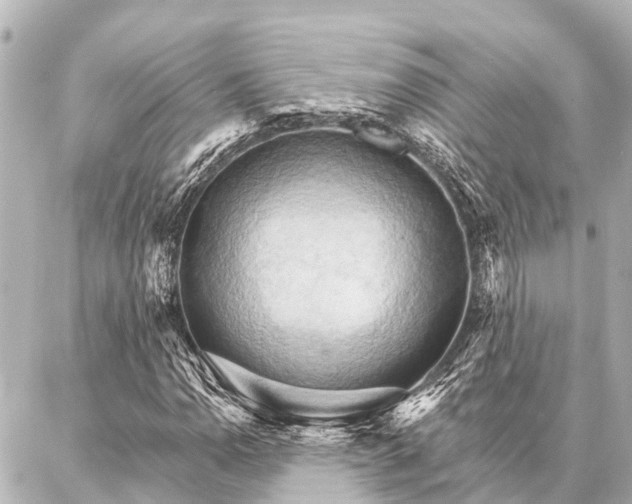 X0000087041110200704250932