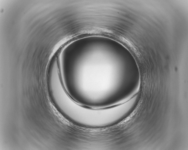 X0000087041122200704250932
