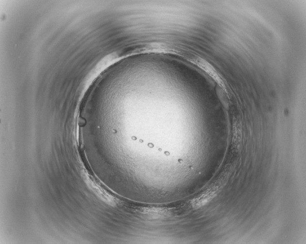 X0000087041132200704250932