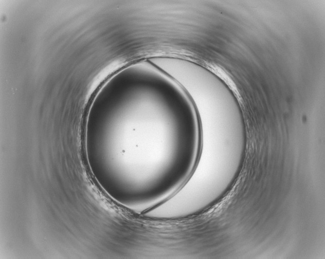 X0000087041138200704250932