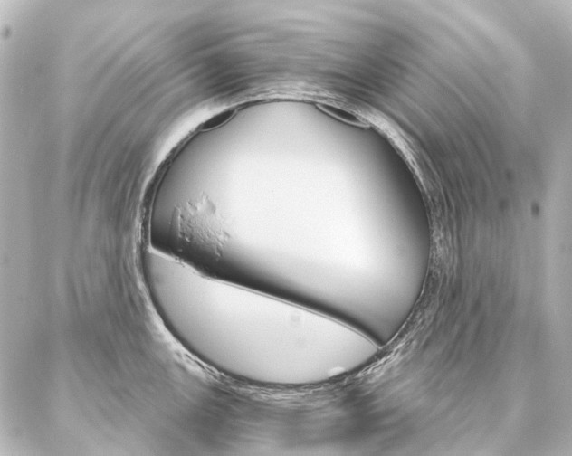 X0000087041147200704250932