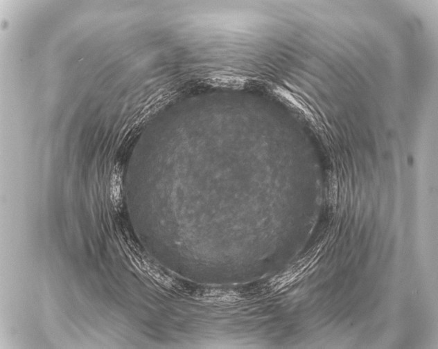 X0000087041154200704250932