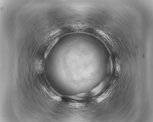X0000087041156200704250932