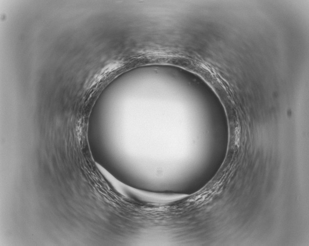 X0000087041157200704250932