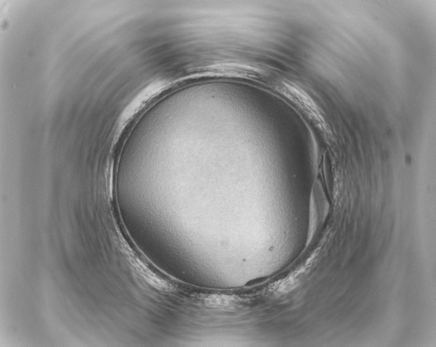 X0000087041180200704250931