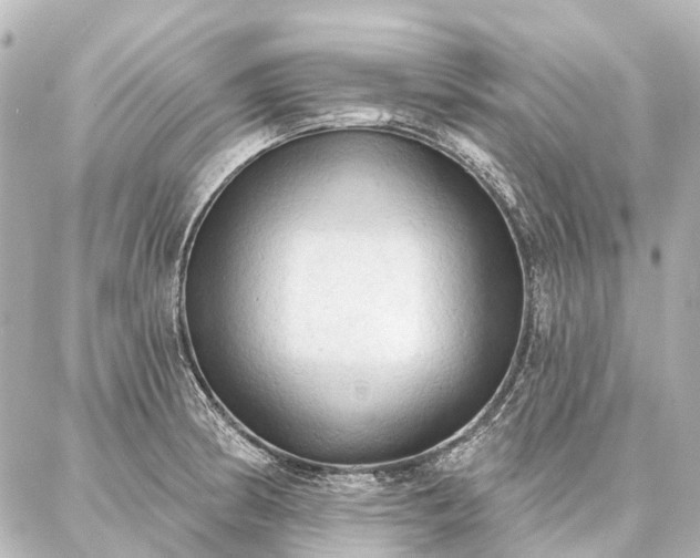 X0000087041186200704250931