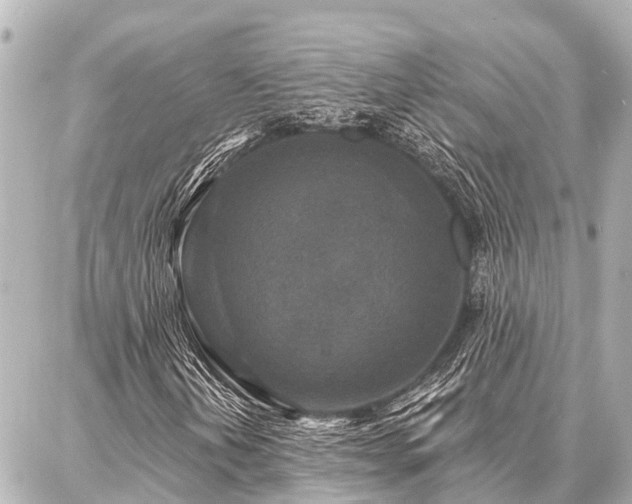X0000087041202200704250930