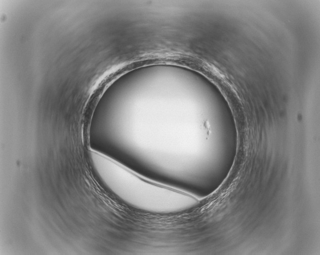 X0000087041214200704250930