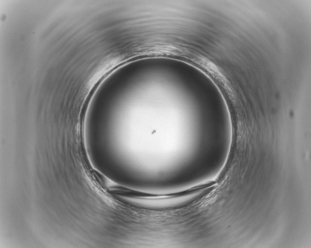 X0000087041234200704250931